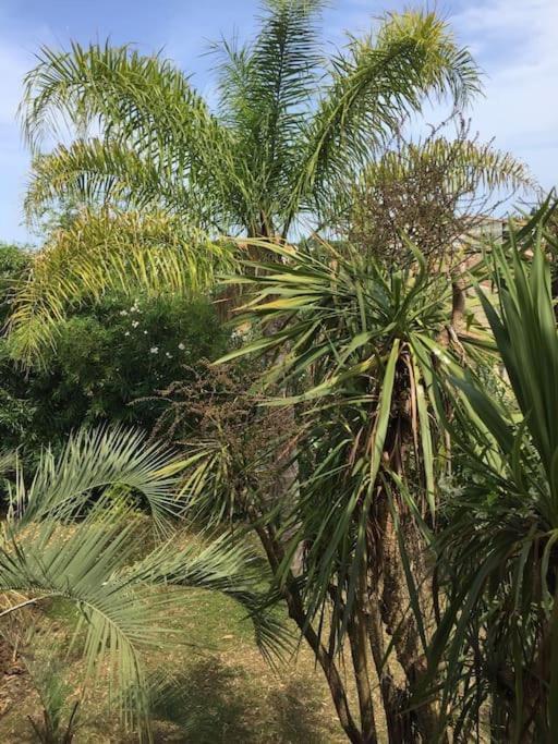 Mare E Monte , Jardin Mediterraneen Et Exotique. Ghisonaccia Buitenkant foto